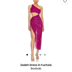 Baobab Zadeh Dress in Fuchsia